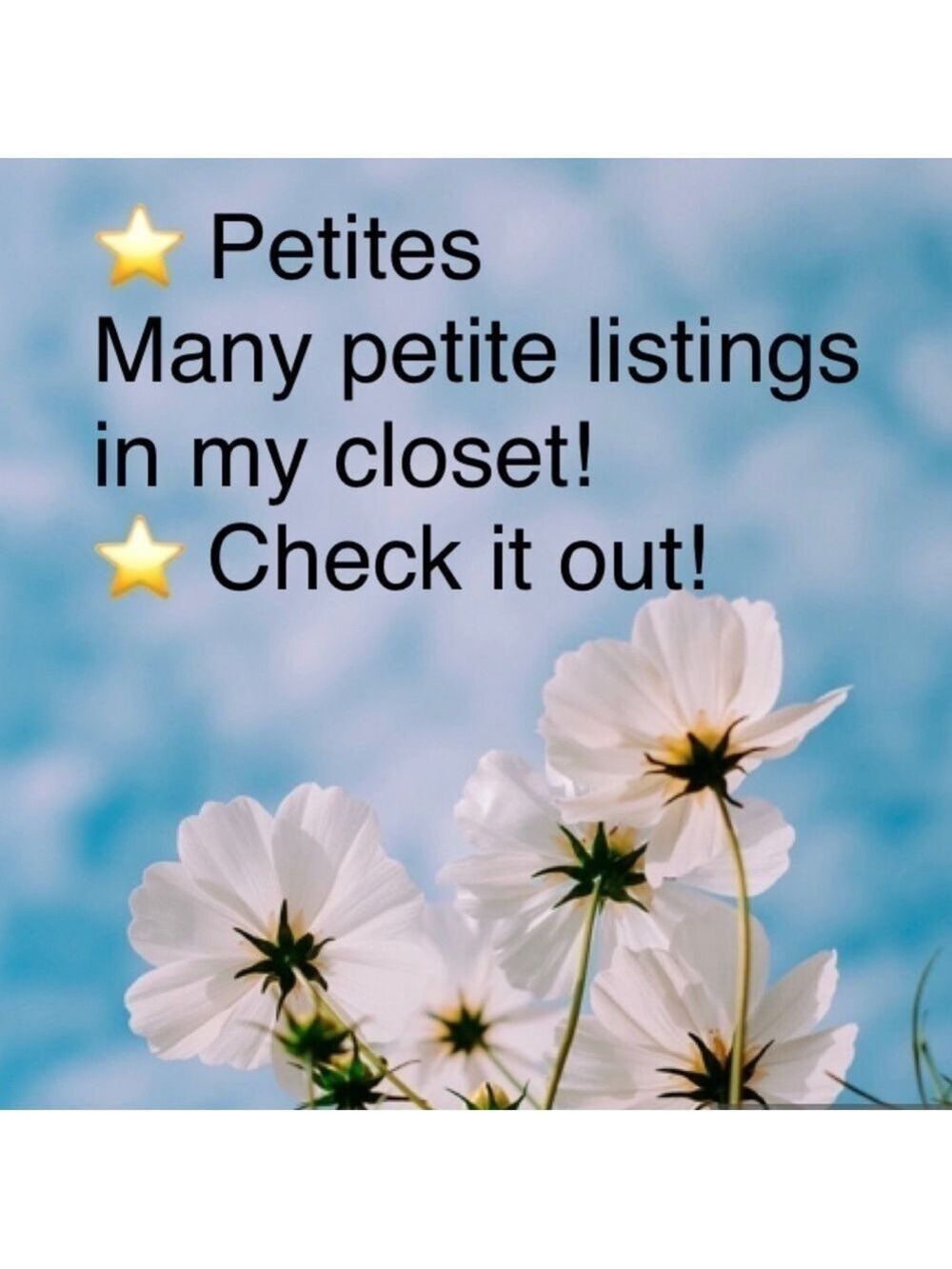 Lots of petite listings!
